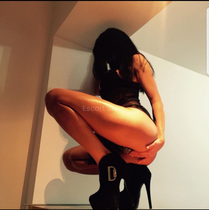 escort odense oslo escort agency escort odense oslo escort agency