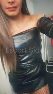 TRANS ALL CARD 21 CM REAL NOT FAKE  