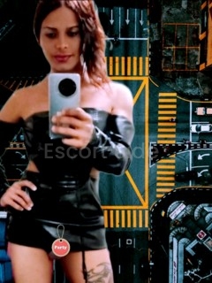 TRANS ALL CARD 21 CM REAL NOT FAKE  