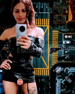 TRANS THE BEST IN FREDERISKBERG , 21 CM!! 