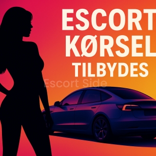 🚗 Escort chauffør/Taxi (Driver) kørsel for Escort Piger