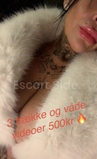 🔥Frk. .fræk🔥