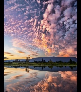 APARTMENT FOR RENT IN BRØNSHØJ 