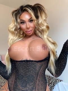 Barbie 💜😈💜 Transexual PornStar ❤️