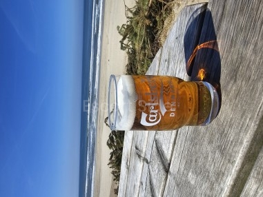 free sex only for women 